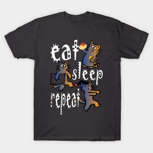 eat sleep repeat T-Shirt